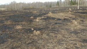 Однодворка 18 века. Не битое место!