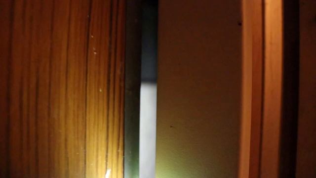 Пассажирский лифт МЛЗ (1986 Г.В) Скорость 0,71 М/C, Грузоподъемность 320 КГ. смотреть онлайн