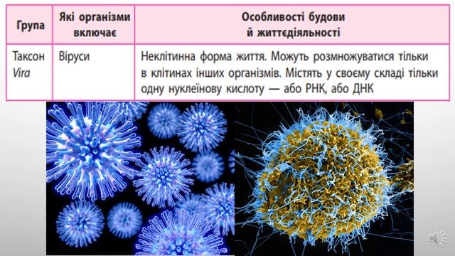 Основні групи організмів смотреть онлайн