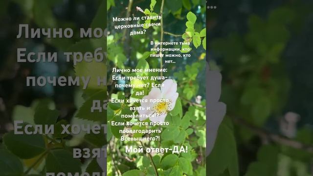 Можно ли ставить церковные свечи дома?🤔 Ответ… смотреть онлайн