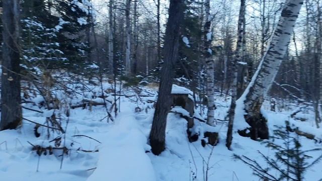 По охотничьей тропе смотреть онлайн