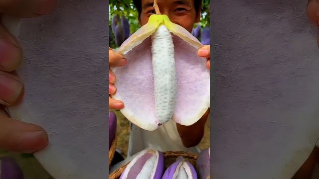 Пробовали смотреть онлайн