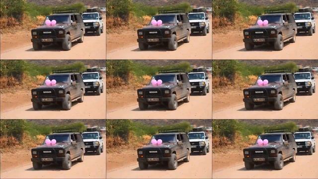 🌹💍Dirre Weds Boru💍🌹 💮Beautiful Borana Wedding💮(Merti, Isiolo county)2020💖 смотреть онлайн