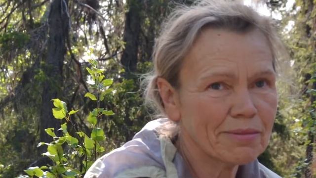 По следу Полярной совы смотреть онлайн