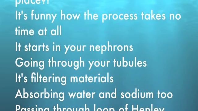 Anatomy Song: The Kidneys (B MOD) смотреть онлайн