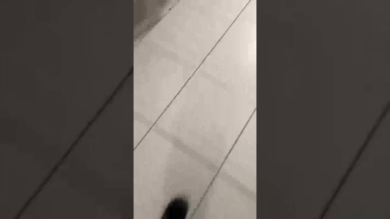 Катание с горок смотреть онлайн