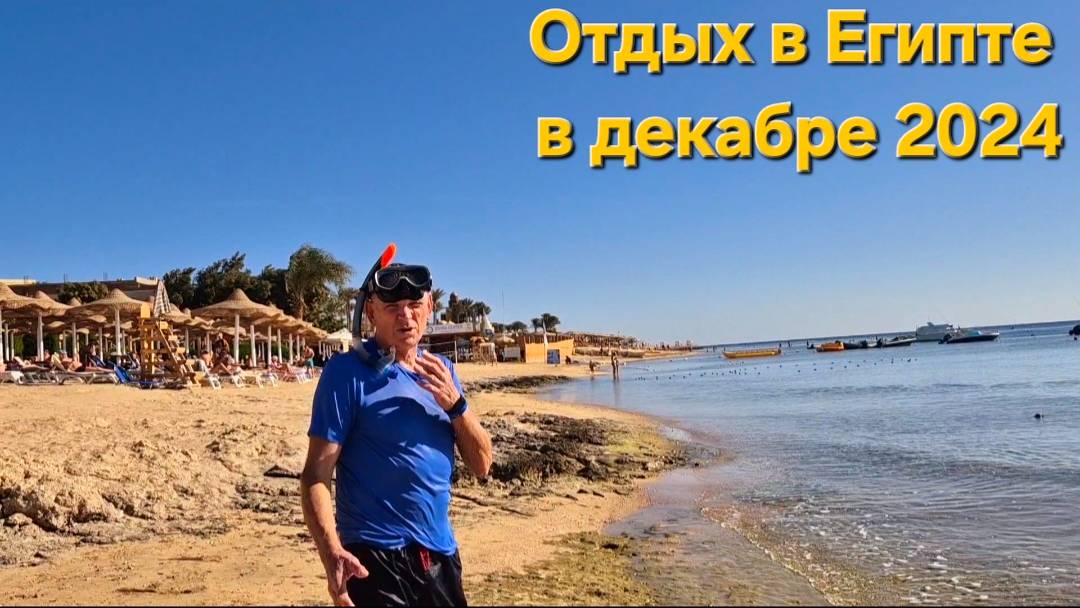 Отдых в Египте зимой.Завтракаем и идем на море.Это наш пляж--6 смотреть онлайн