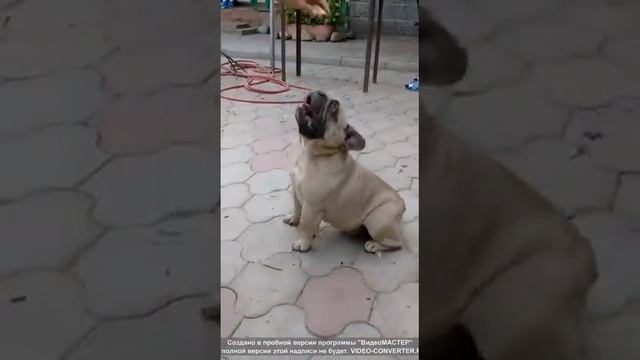 Отец смотреть онлайн