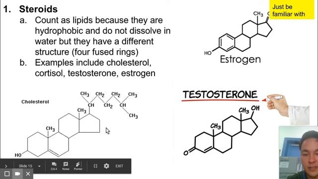 Macromolecules (Carbs, Lipids, Proteins, Nucleic Acids) смотреть онлайн