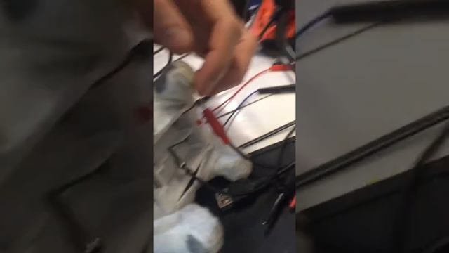 Собачка на батарейках лающая с горящими глазами долматинец смотреть онлайн