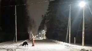 "Жизнь на пенсии".. Хроника дня - устроила себе отдых.