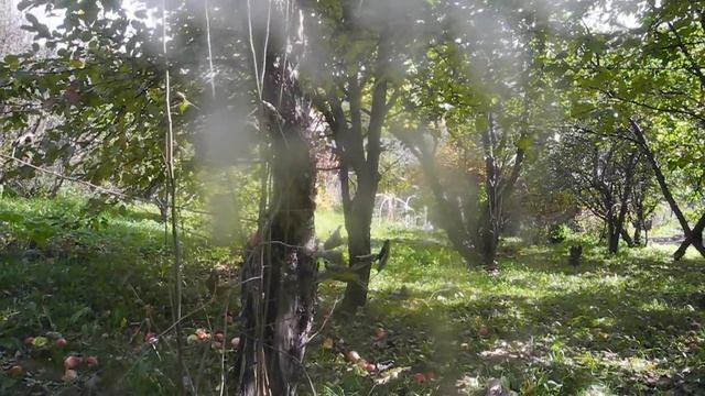 Не раз в ночи вы вспомните меня... смотреть онлайн