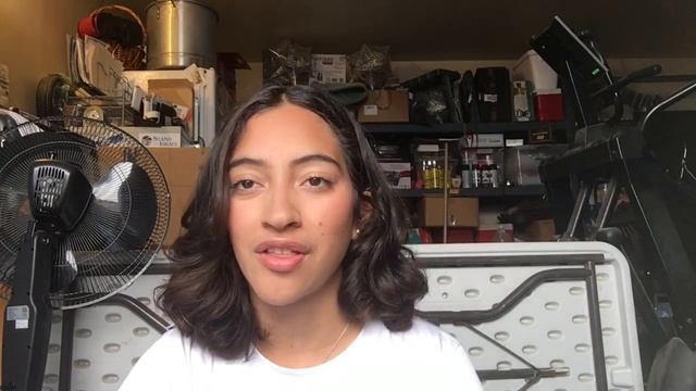 pet tag + life update!