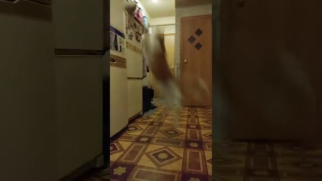 Мой акробат по имени Реня смотреть онлайн