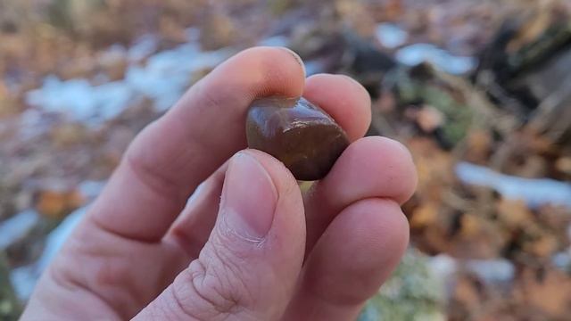 Grateful For This World, Rockhounding At The Sandbox! смотреть онлайн