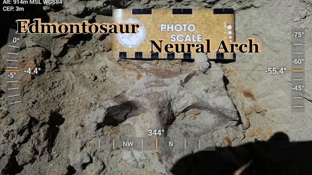 Hunting Dinosaur Fossils in South Dakota Hell Creek Formation смотреть онлайн