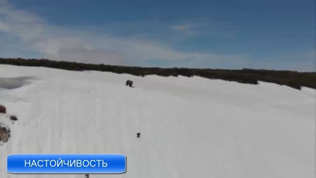 Песня о Настойчивости и упорстве смотреть онлайн