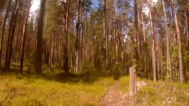 16.07.2023 Yalgora Race (XCLong) смотреть онлайн