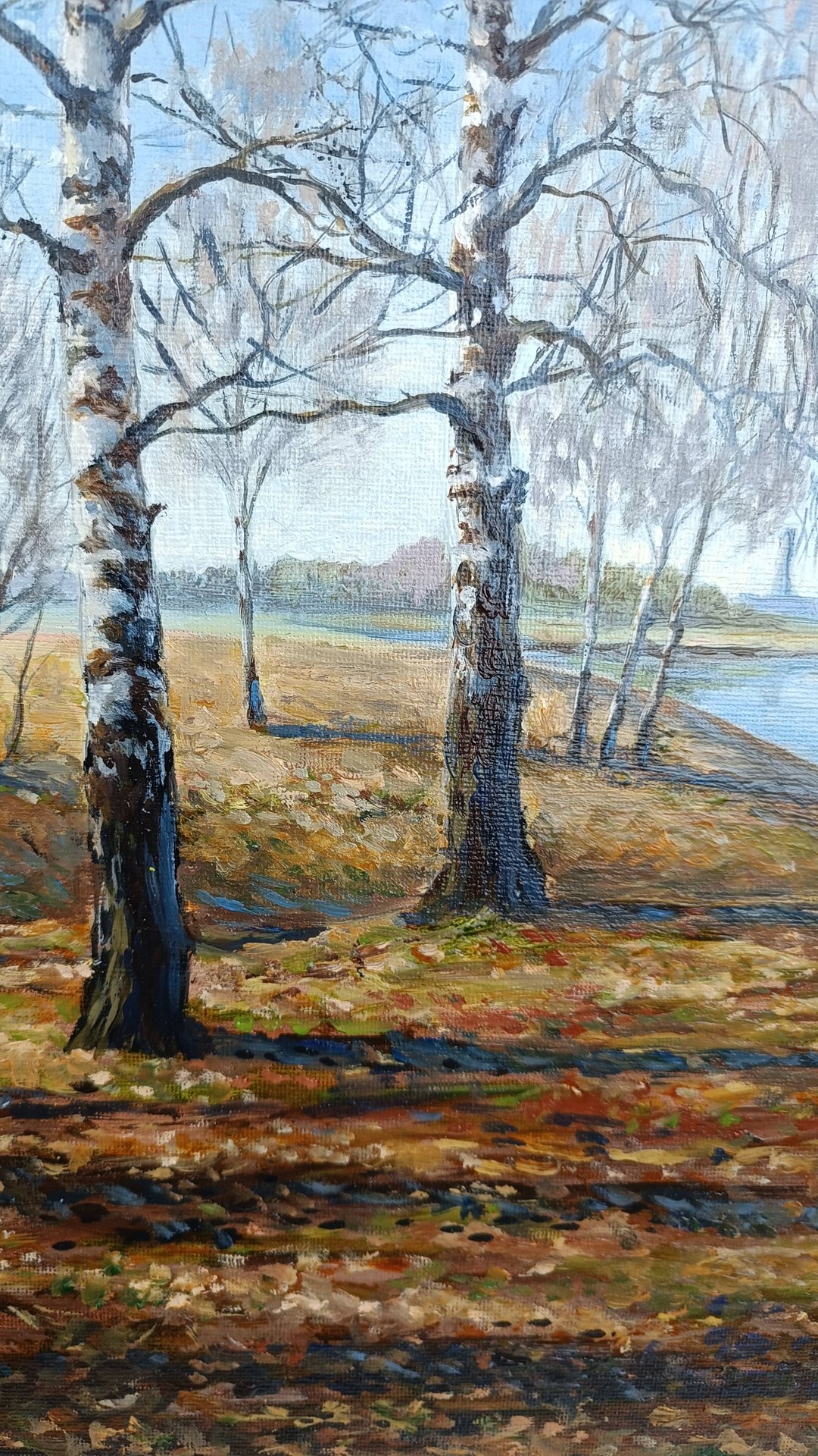 Обзор картины Березки -холст, масло. Автор Цуканова Виктория смотреть онлайн