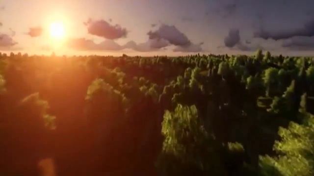 Футаж для видеомонтажа полет над лесом смотреть онлайн