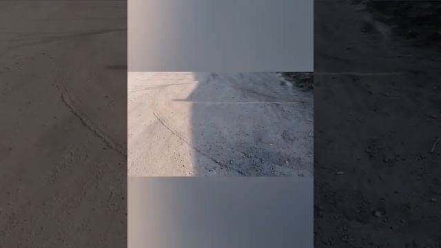 #2. Щенок лайки чуть не съел Йорка. Навестили Сивку. смотреть онлайн