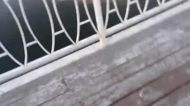 Повествование Димы №1.Отпускание рака смотреть онлайн