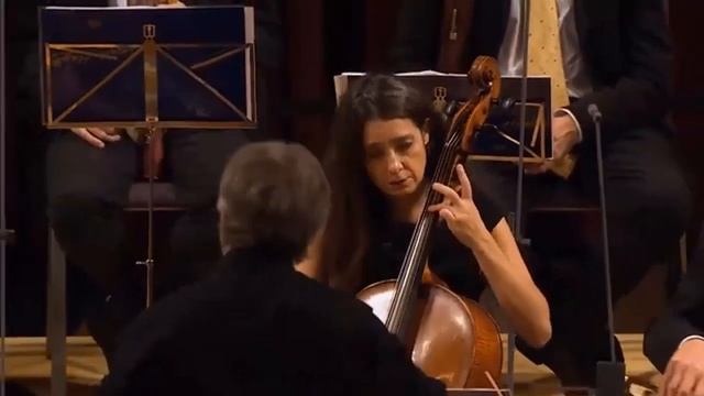 Йозеф Гайдн. Симфония №1 ре-мажор (D-dur), Hob. I:1. смотреть онлайн