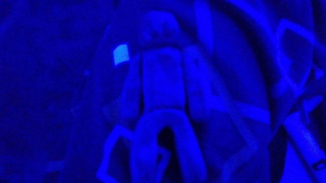 1 фильм помидорки *привет!*