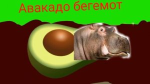 Авакадо бегемот 10 минут