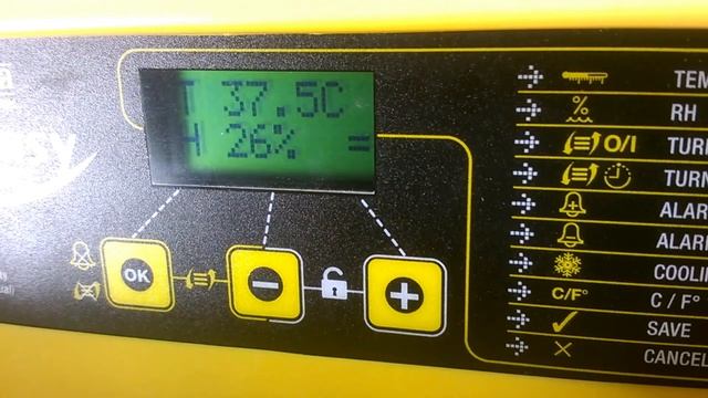Checking and recalibrating the temperature on a Brinsea Ovaeasy Advance Series II Incubator смотреть онлайн