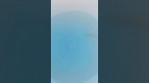 #13.Первая весенняя обработка сада. Бургундская смесь.