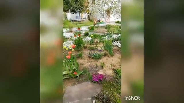 Куриные ножки с овощами в казанке смотреть онлайн