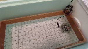 Перегрев в инкубаторе и как с этим бороться.