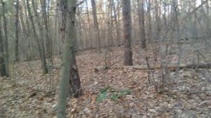 ОГО, ДЕД НАШЕЛ МОНЕТУ 1927 ГОДА!!!