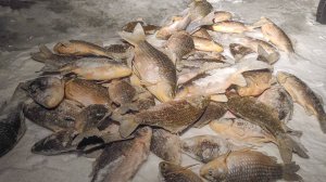 РЫБАЛКА НЕ ДЛЯ СЛАБОНЕРВНЫХ...ПОПАЛ НА ТУ САМУЮ ЛУНКУ! Рыбалка на карася зимой. Зимняя рыбалка 2025