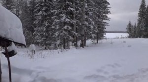 Рыбалка . Омская область . Тайга . Озеро Черталы .