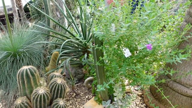 BOTANIC GARDEN OXFORD | FAMILY HOLIDAY SOON | FAMILY VLOG смотреть онлайн