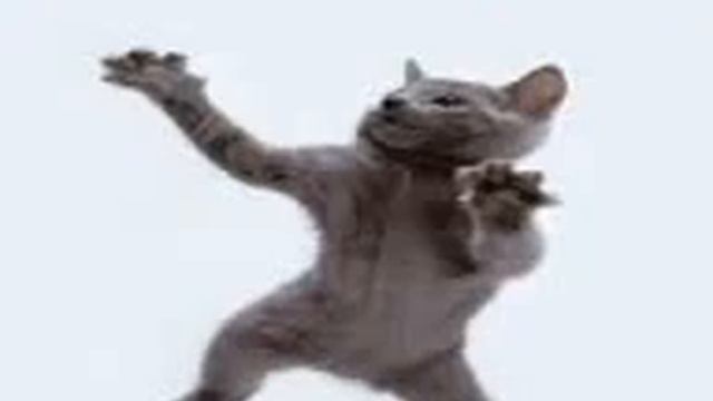 Коты танцуют? смотреть онлайн
