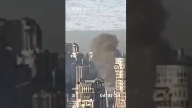 Цветет герань. ZOV