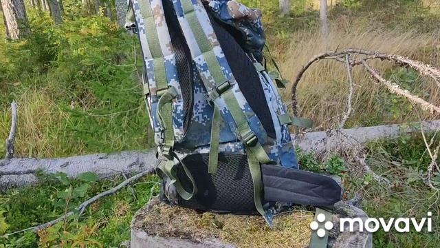 34 день. Черника и фингал))) смотреть онлайн