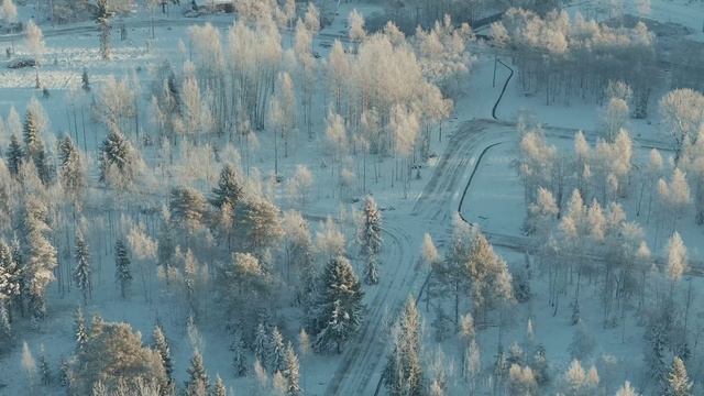 Новожилово инфографика