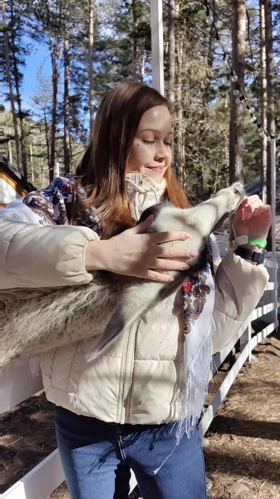 Кормлю ламу морковкой 🦙🥕 смотреть онлайн