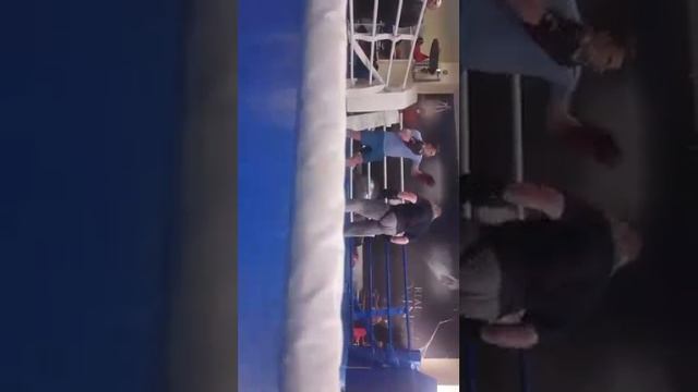 Слава Дацик работа на лапах смотреть онлайн