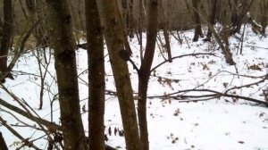 Офигенная находка возле высохшего русла реки.