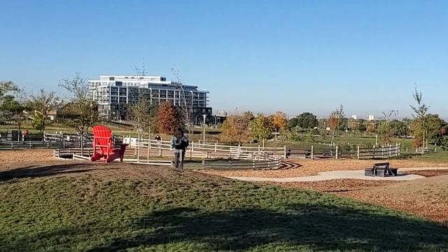 The Unexpected: Pancho's Return Home 😥 смотреть онлайн