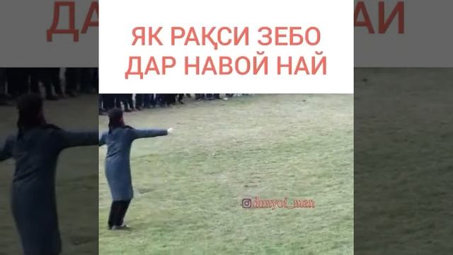 Наврузи гармай смотреть онлайн