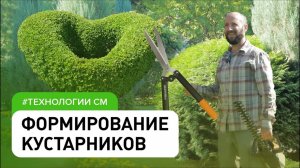 Формируем красивые кустарники своими руками легко и просто . Обрезка кустарников #ДенисСафронов