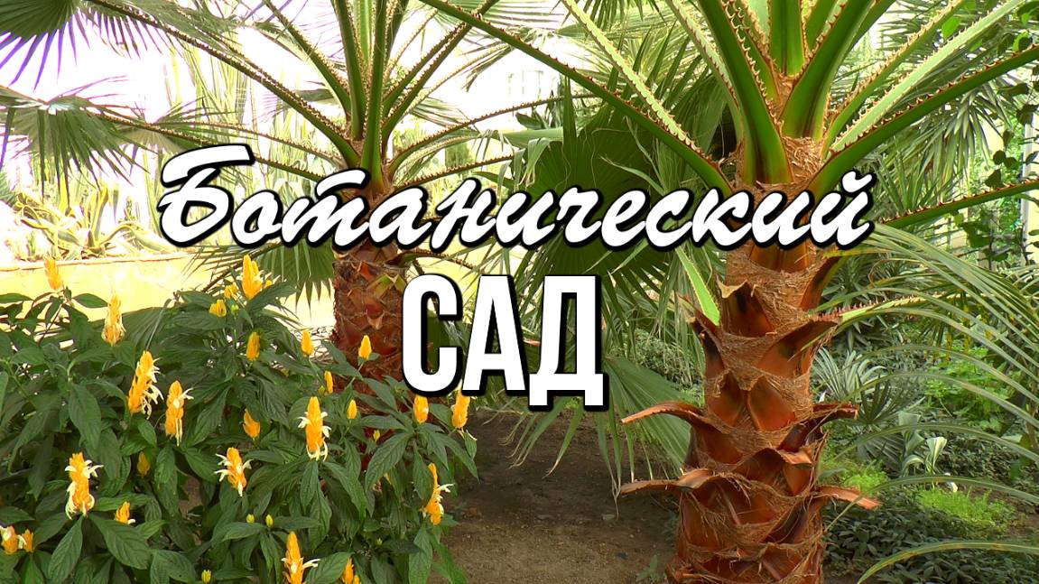 Из зимы в настоящие тропики! Самый большой за Уралом купольный ботанический сад смотреть онлайн
