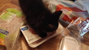 Разбираем покупки