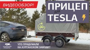 Прицеп для Тесла. Или обзор ДВУХосного курганского прицепа "Крепыш 2.5 Плюс" #курганскиеприцепы